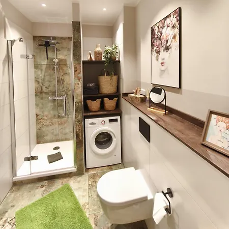 Wasserlilie In Dresden-plauen *